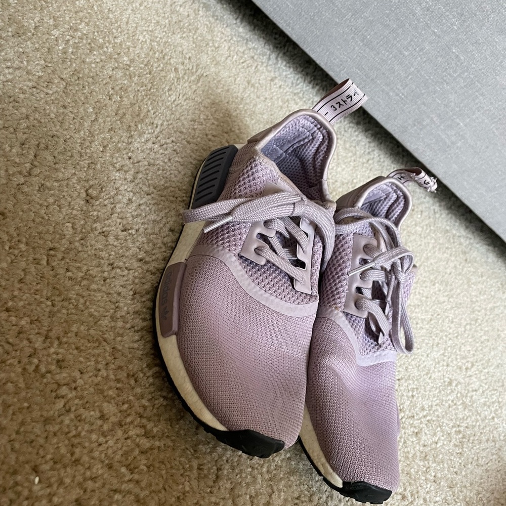 Purple NMDS
